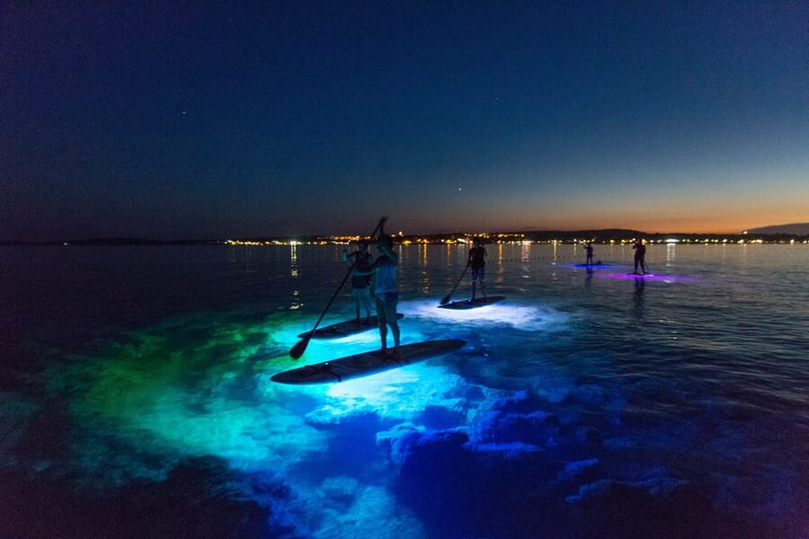 1.5-hour Clear Kayak Rental: Discover the Underwater World - Weather, cancellation, and planning