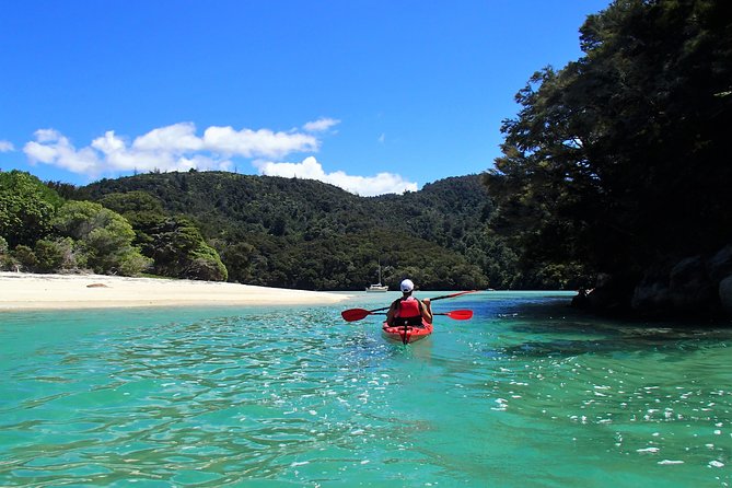 1 Day Sea Kayak Rental - Key points to know before you book