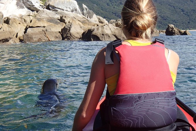 1 Day Sea Kayak Rental - What the seven-hour format means for you