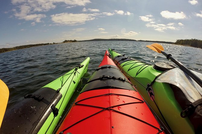 1-Day Small-Group Stockholm Archipelago Kayak Tour - A campfire lunch on a quiet island