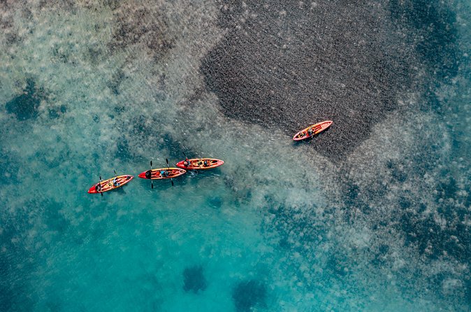 1 Hour Mangrove Kayak Tour - Who should book this Bonaire kayak tour