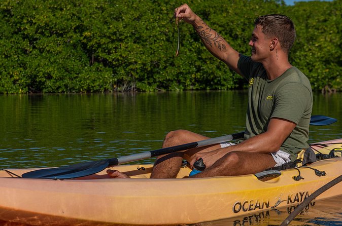 1 Hour Mangrove Kayak Tour - A calm alternative to Bonaire’s usual water activities