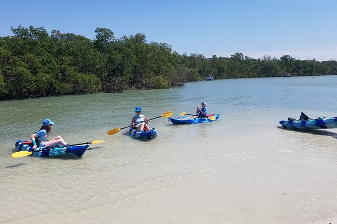 2.5-Hour Guided Group Kayak Tour on Big Hickory Pass - Wind, current, and getting wet