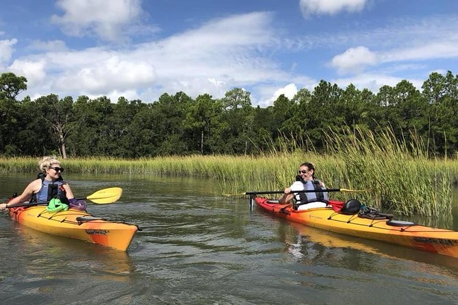 2-Hour Guided Kayak Eco Tour in Charleston - Why this kayak tour is worth your Charleston time