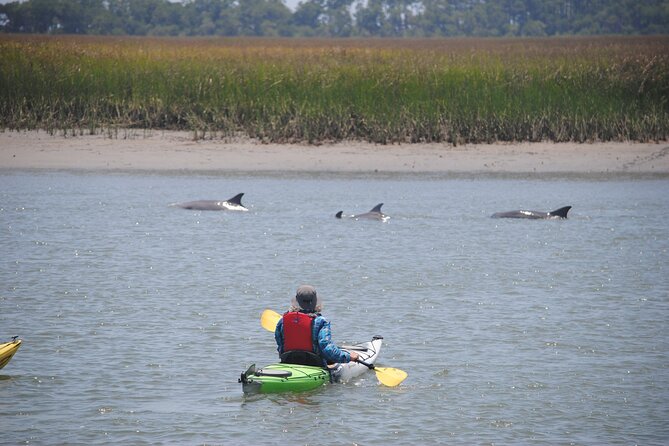2-Hour Guided Kayak Eco Tour in Charleston - Wind, rain, tides, and boat traffic