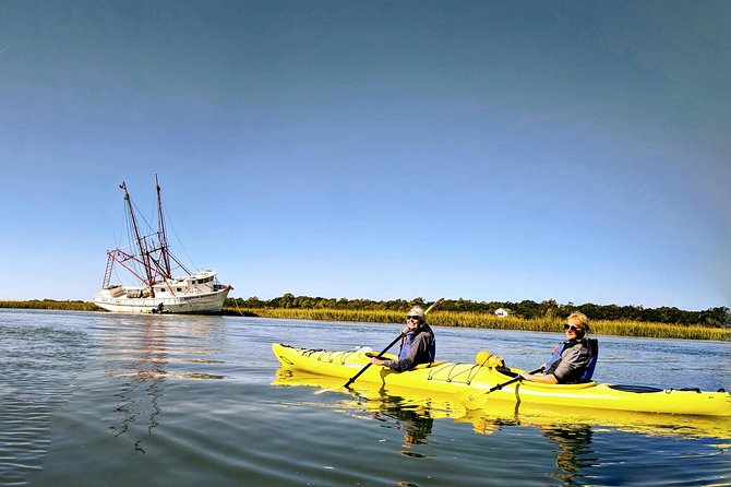 2-Hour Guided Kayak Eco Tour in Charleston - Who will get the most from this experience