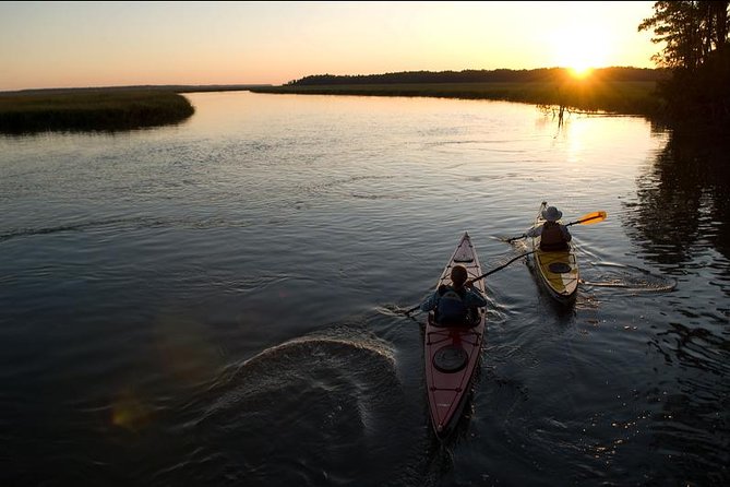 2-Hour Hilton Head Guided Kayak Nature Tour - The guide can make or break the outing
