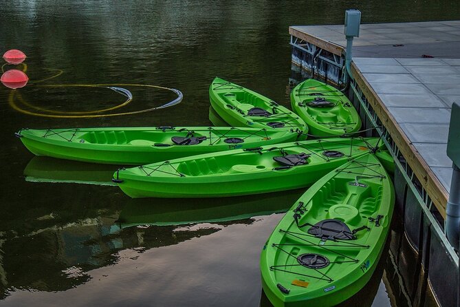 2 Hour Kayak Lessons On Lady Bird Lake - Paddling toward the Austin skyline