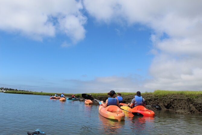 2-Hour Kayak Rental in Cape May per person - Wildlife watching in the Cape May salt marsh