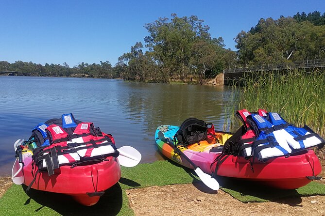2-Hour Kayaking Experience in Barossa Valley - Key points to know before you paddle