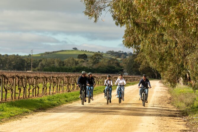 2-Hour Kayaking Experience in Barossa Valley - Is the $240 price good value?