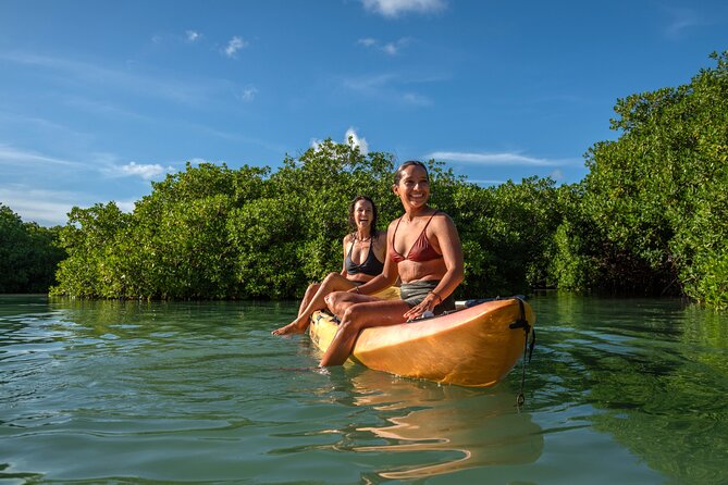 2 Hour Mangrove Kayak and Snorkel Tour - Key points to know before booking