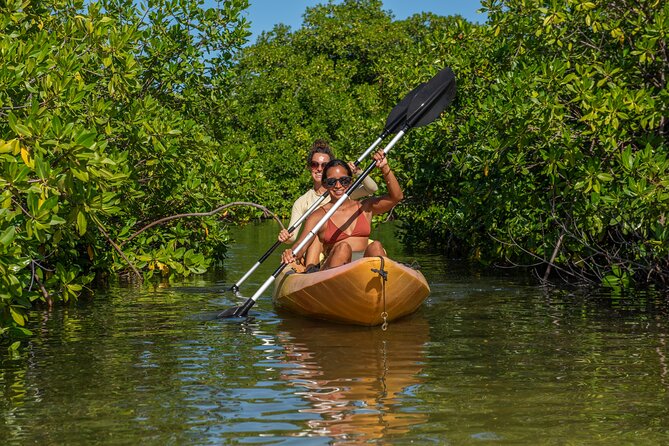 2 Hour Mangrove Kayak and Snorkel Tour - Who should book this Bonaire tour?