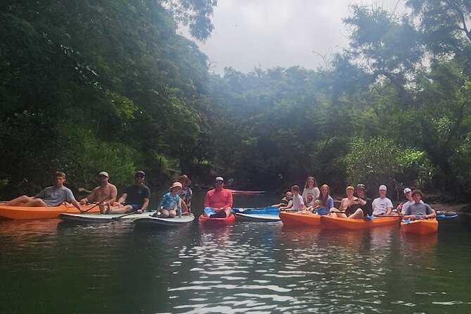 2 hour tandem kayak rental at our private launch area in Hale'iwa - Following the Anahulu River