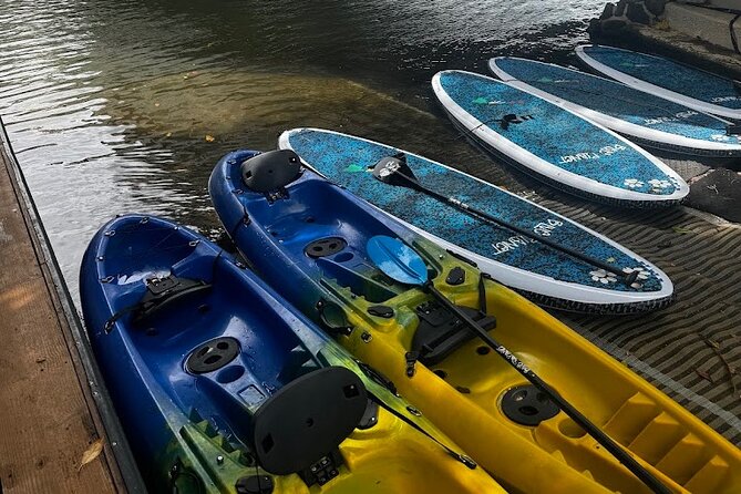2 hour tandem kayak rental at our private launch area in Hale'iwa - What the $49.95 price really covers
