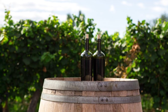 2 Hours Water to Wine Kayak Trip from Cottonwood - A river trip that ends with Arizona wine