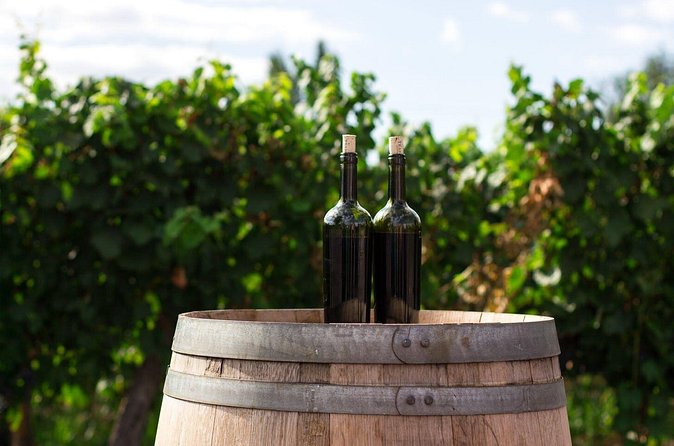 2 Hours Water to Wine Kayak Trip from Cottonwood - Is $181 a fair price?