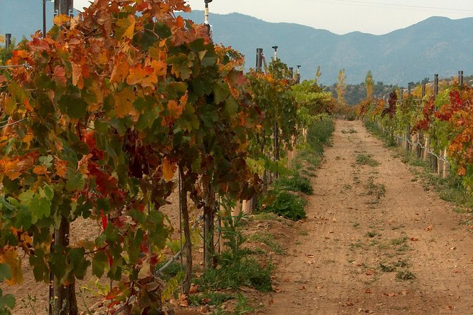 2 Hours Water to Wine Kayak Trip from Cottonwood - Self-guided does not mean instruction-free