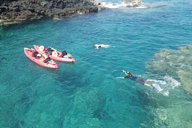 3.5 Hour Kailua-Kona Ocean Kayak and Snorkel Tour - Quick take: what makes this tour worth considering