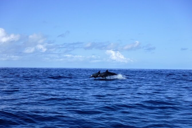 3.5 Hour Kailua-Kona Ocean Kayak and Snorkel Tour - What to bring for a smoother morning