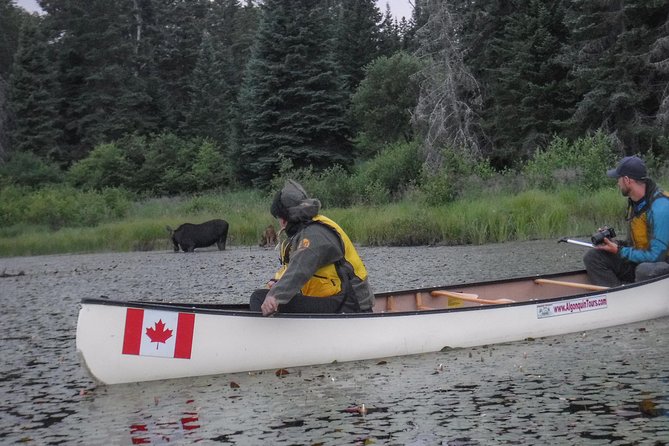 3 Day Algonquin Park Canoe Trip - Moose & Beaver Safari - Key points at a glance