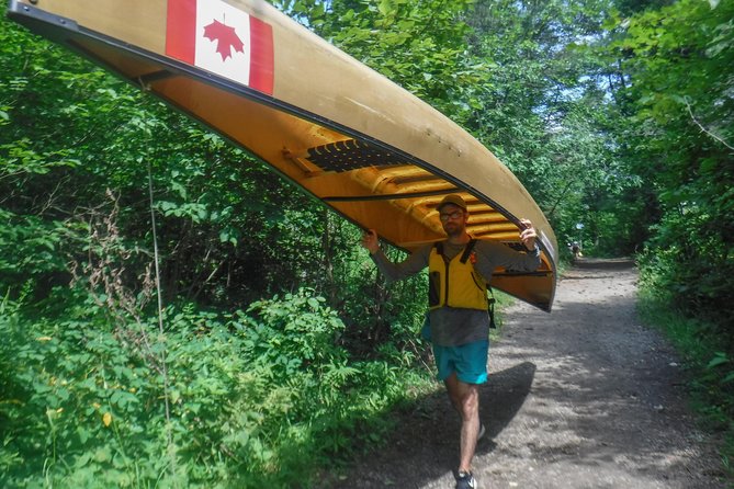 3 Day Algonquin Park Canoe Trip - Moose & Beaver Safari - Day three: A stronger paddler returns to Canoe Lake