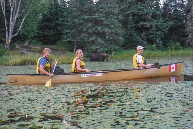 3 Day Algonquin Park Canoe Trip - Moose & Beaver Safari - The food and gear make the price easier to judge