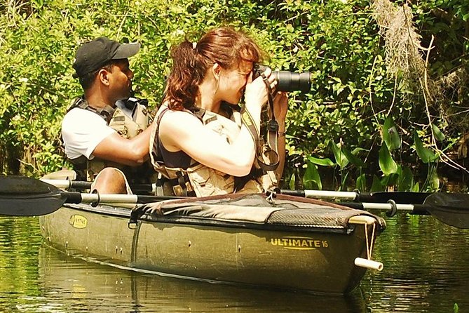3 Hour Guided Mangrove Tunnel Kayak Eco Tour - Why the mangrove tunnels are the main attraction