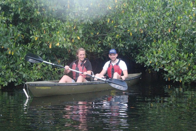 3 Hour Guided Mangrove Tunnel Kayak Eco Tour - Wildlife watching from a low kayak