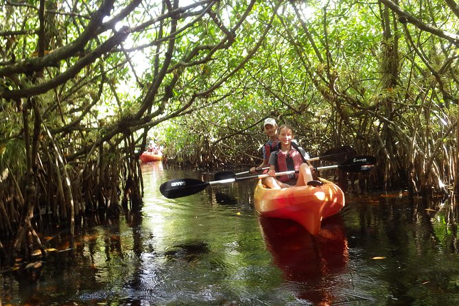 3 Hour Guided Mangrove Tunnel Kayak Eco Tour - How demanding is three hours of paddling?