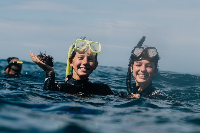 3-Hour Kayak and Snorkeling Experience in Batemans Bay - Key points to know before booking