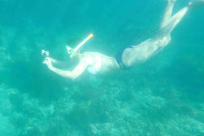 3-Hour Kayak and Snorkeling Experience in Batemans Bay - Who should book this Batemans Bay outing
