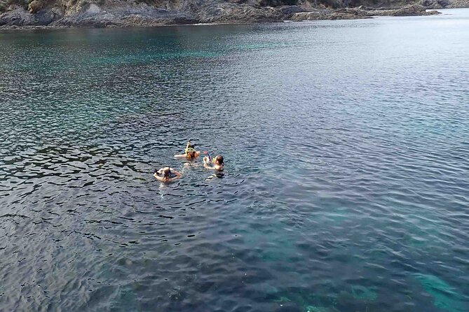 3-Hour Kayak and Snorkeling Experience in Batemans Bay - Weather, minimum numbers, and changes