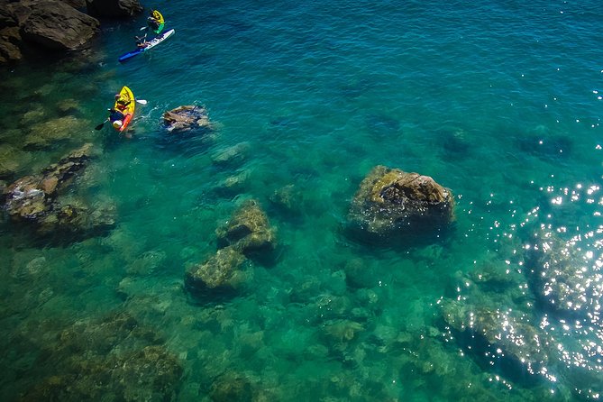 3 Hour of Sea Kayak Trip in the Creeks of Sete - What happens during the three hours