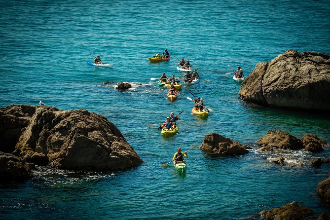 3 Hour of Sea Kayak Trip in the Creeks of Sete - The canal alternative in central Sète