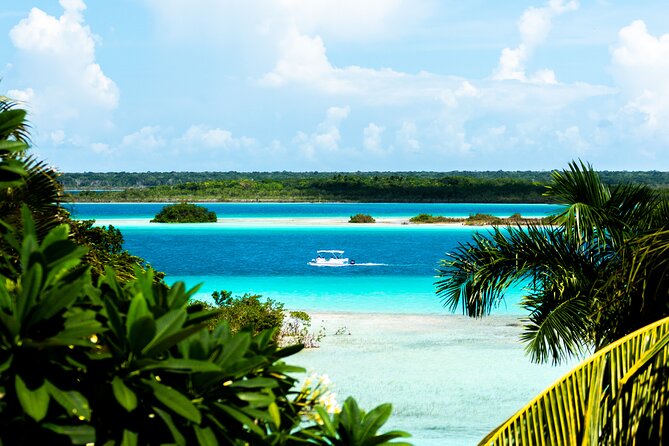 3 hr Pontoon Tour with access to Beach Club and Free Kayaks - Beach club access and free kayaks