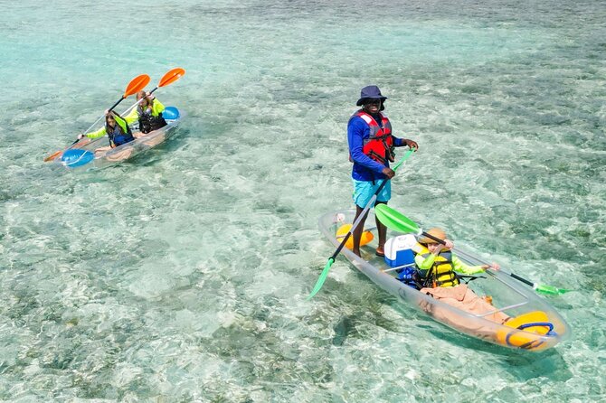 3HR Clear Kayak Mangrove and iguana island Tour in Leeward - Mangrove Cay: the heart of the outing