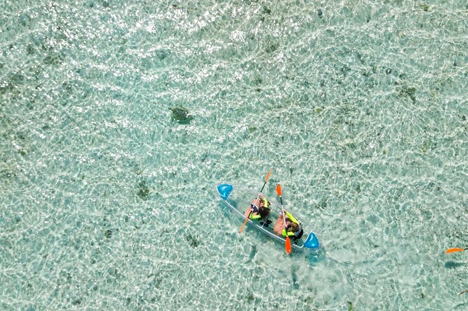 3HR Clear Kayak Mangrove and iguana island Tour in Leeward - Guides can shape the entire day