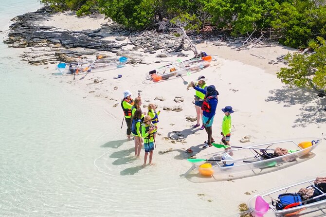 3HR Clear Kayak Mangrove and iguana island Tour in Leeward - Little Water Cay and the rock iguanas