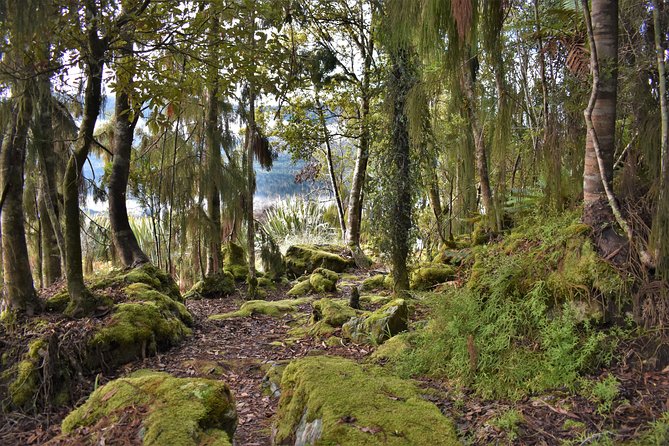 4-hour Lake Mapourika Kayak and Hike adventure, with Okarito Kiwi Sanctuary - Hot drinks, photos, and the value of the package