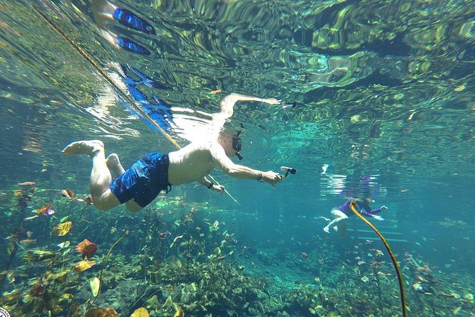 4 Private Cenotes, Zip-Lines, Canoes & Mayan Village with Delicious Lunch - Canoes, cliff jumps, and the right pace