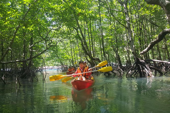 5 Hours Kilim Mangrove Kayaking Sharing Tour (With Hotel Pickup) - The boat ride and the Bat Cave