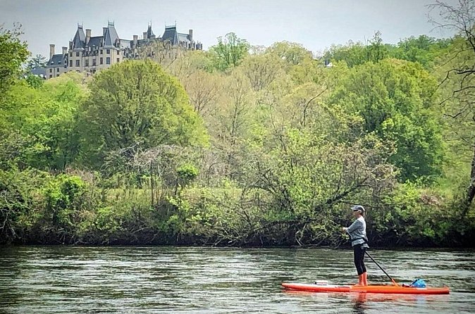 7 Mile Guided Paddleboard Tour On The French Broad River in Asheville - Wildlife watching without guarantees