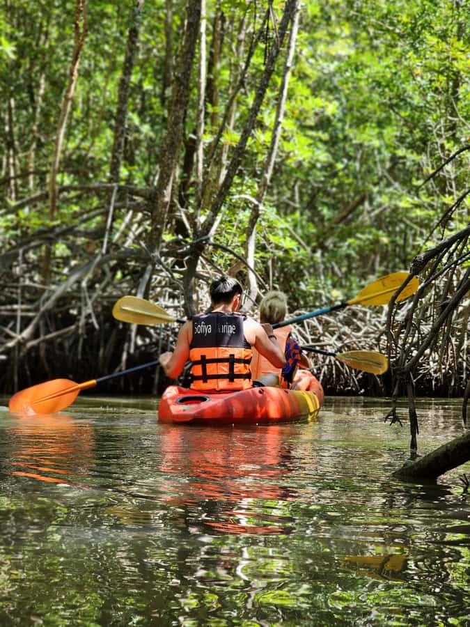 A Jungle-to-Sea Kayaking & Trekking Adventure in Phuket - What makes this Phuket nature escape worth considering