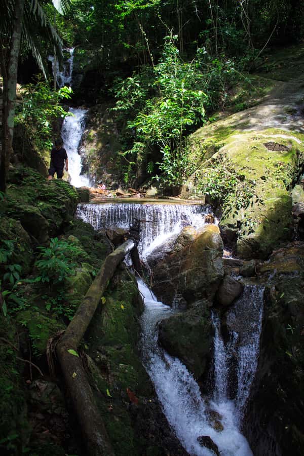 A Jungle-to-Sea Kayaking & Trekking Adventure in Phuket - Paddling Bang Rong’s quiet mangroves