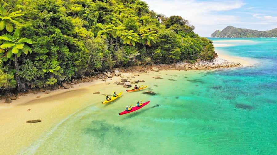 Abel Tasman National Park: Cruise, Kayak, & Hike Tour - Why this Abel Tasman day works so well