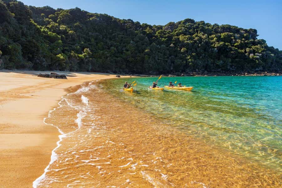 Abel Tasman National Park: Cruise, Kayak, & Hike Tour - Kayaking from Observation Beach