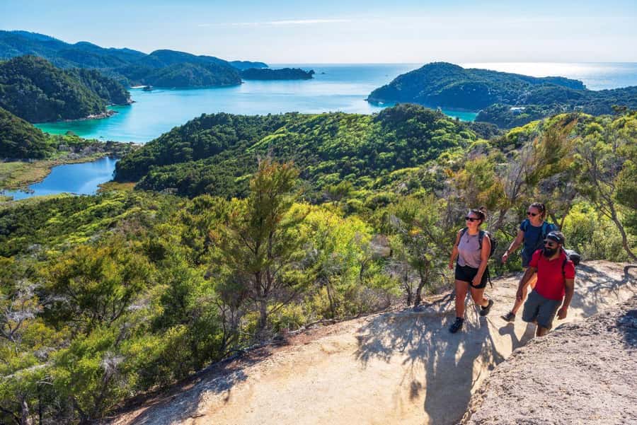 Abel Tasman National Park: Cruise, Kayak, & Hike Tour - What to bring and who should book