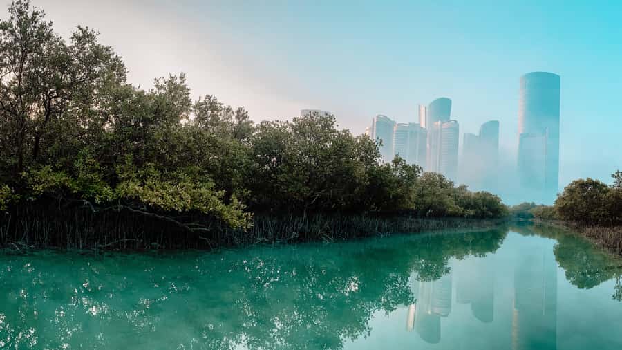 Abu Dhabi: Reem Central Park 2-hour Guided Kayak Tour - From Reem Island’s city center to quiet mangrove channels