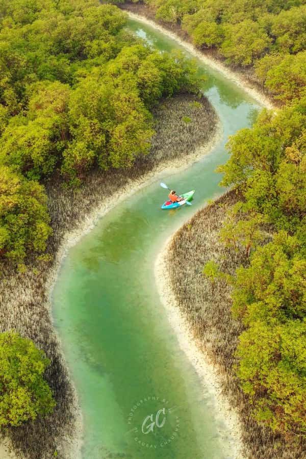 Abu Dhabi: Reem Central Park 2-hour Guided Kayak Tour - What the $42 price gets you